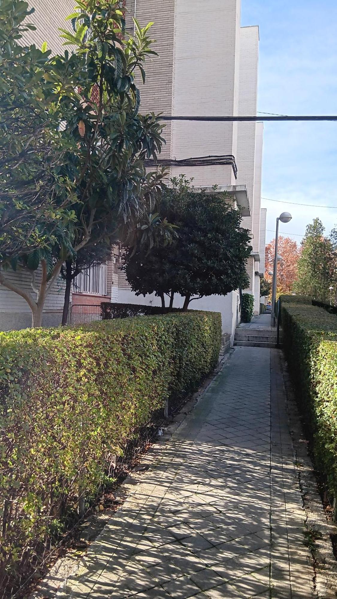 El Colmenar Habitaciones 马德里 外观 照片